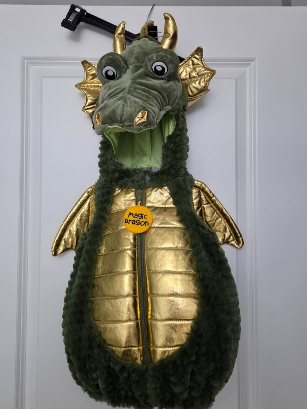 Magic Dragon Costume